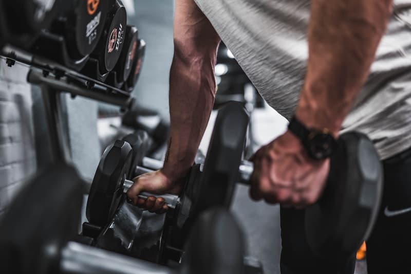 Por que el musculo es tu mejor inversion para los proximos 30 anos
